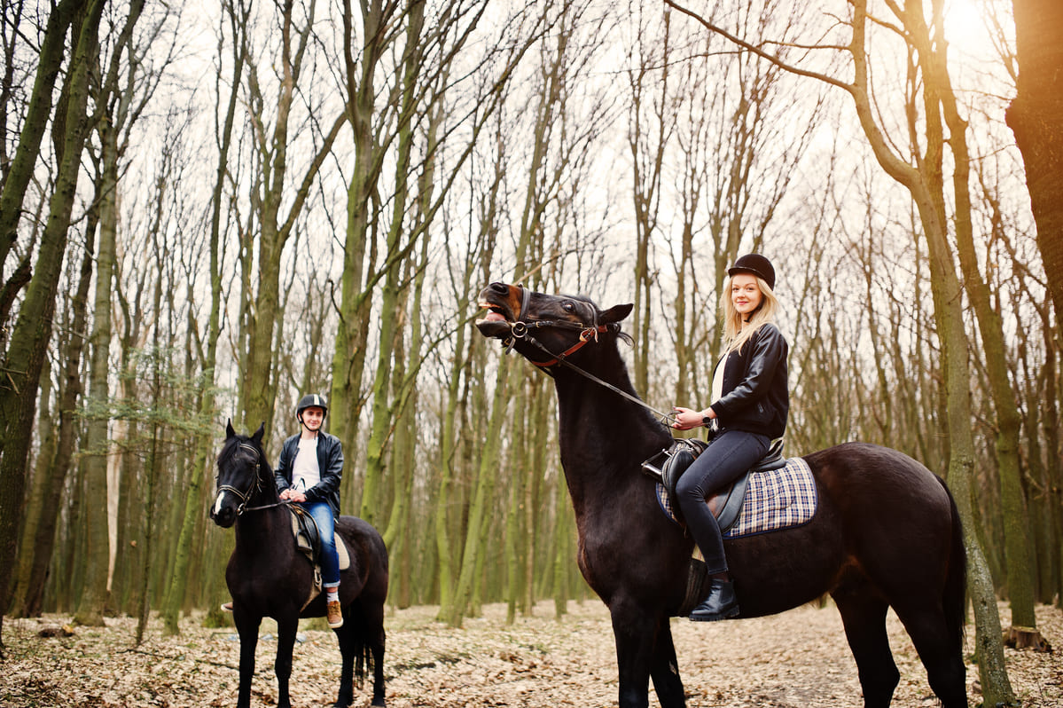 Descubre la Conexión con la Naturaleza en Excursiones a Caballo.