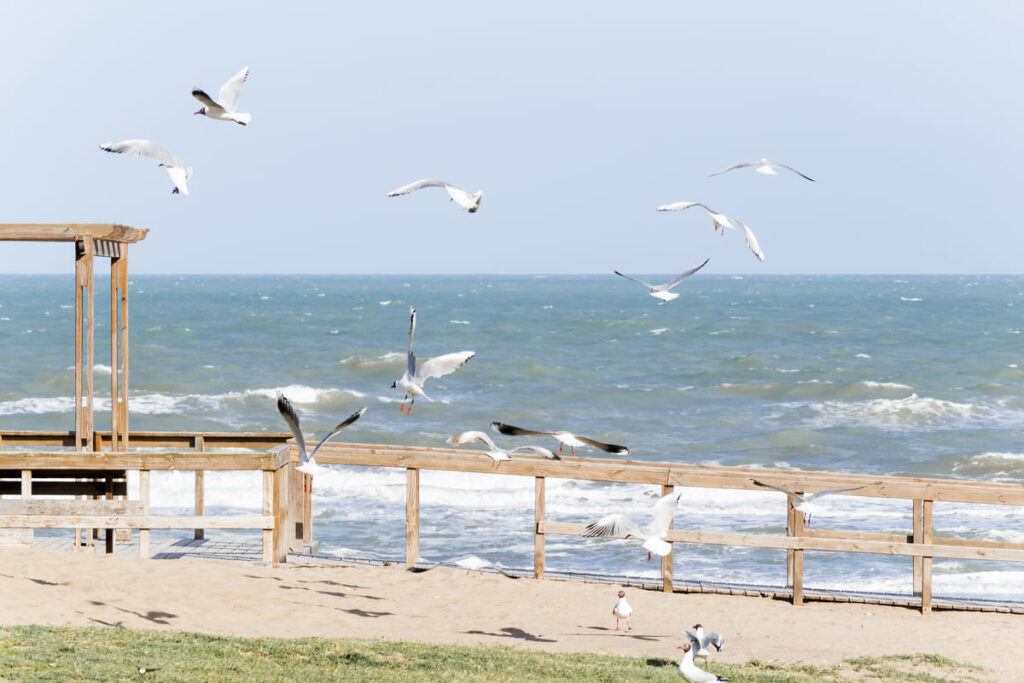 sta de las Playas de la Franca, un rincón paradisíaco en la costa de Asturias, con aguas cristalinas y paisaje natural.